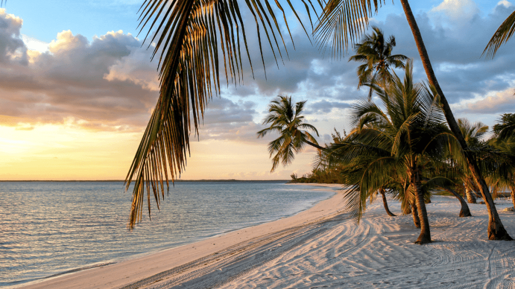 Tropisch strand met palmbomen op Bahamas