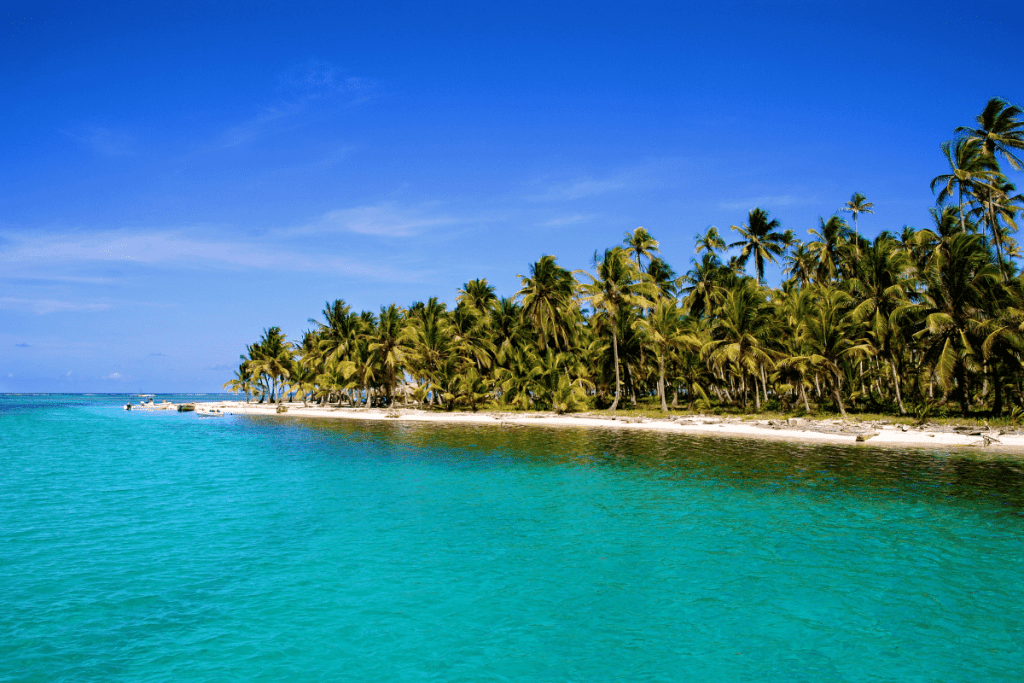 Palm trees and blue waters on a blue day