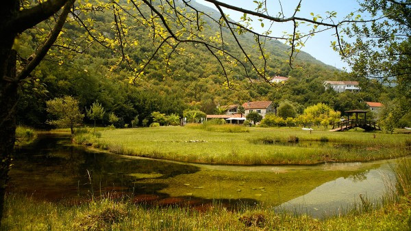 ĆATOVIĆA MLINI