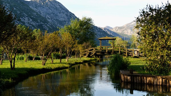 ĆATOVIĆA MLINI