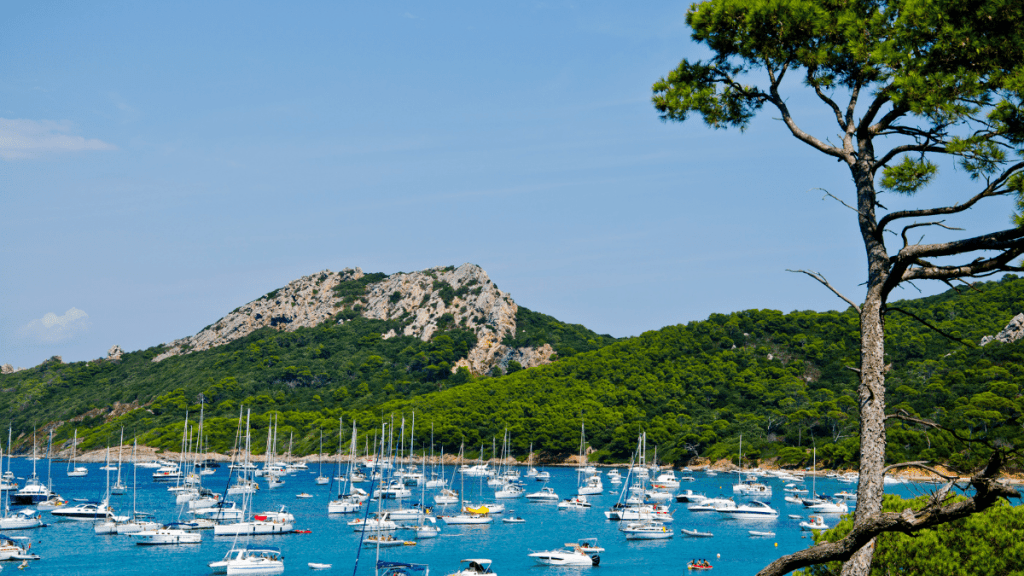 Vue sur les bateaux à Porquerolles