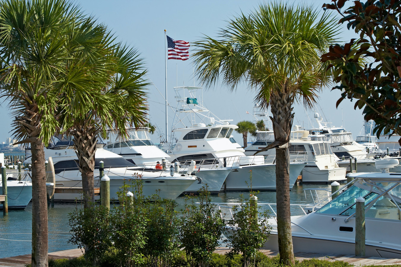 Boat Rental Auburn Yacht Charter Tubber